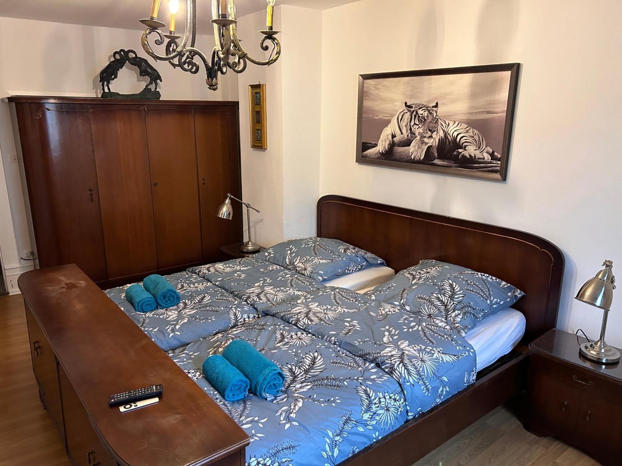 Spacious Apartment City Centre Straatsburg Buitenkant foto